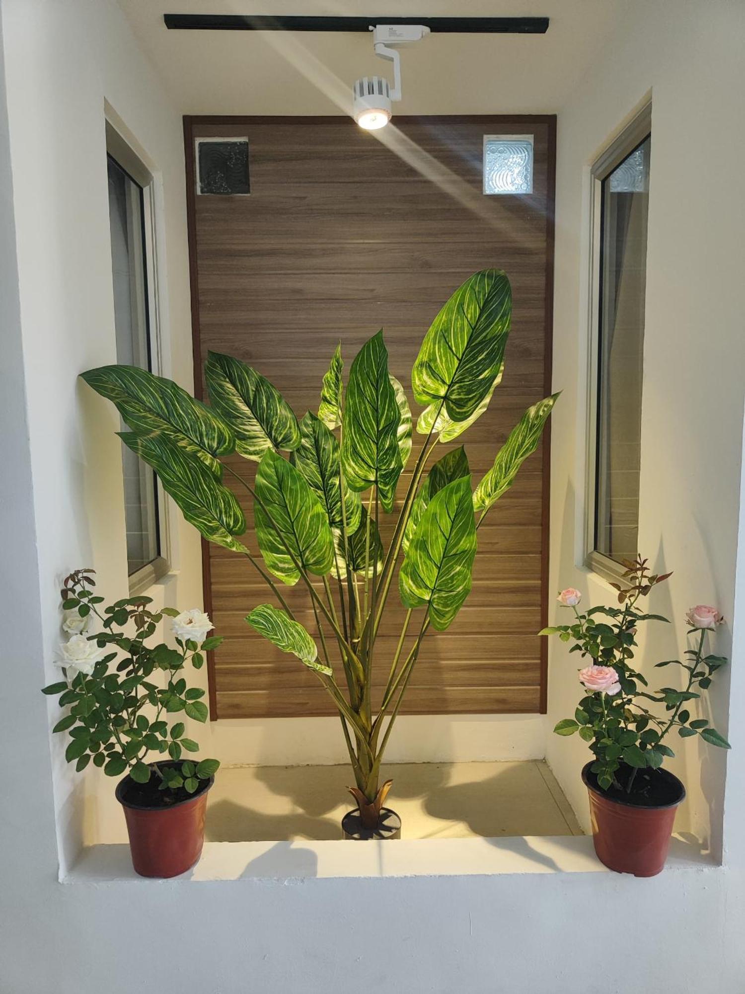 Greenery Rooms Tawau Dış mekan fotoğraf